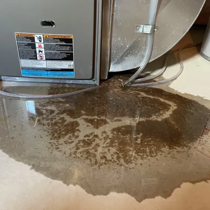 Appliance Leak Cleanup in Laytonville, CA